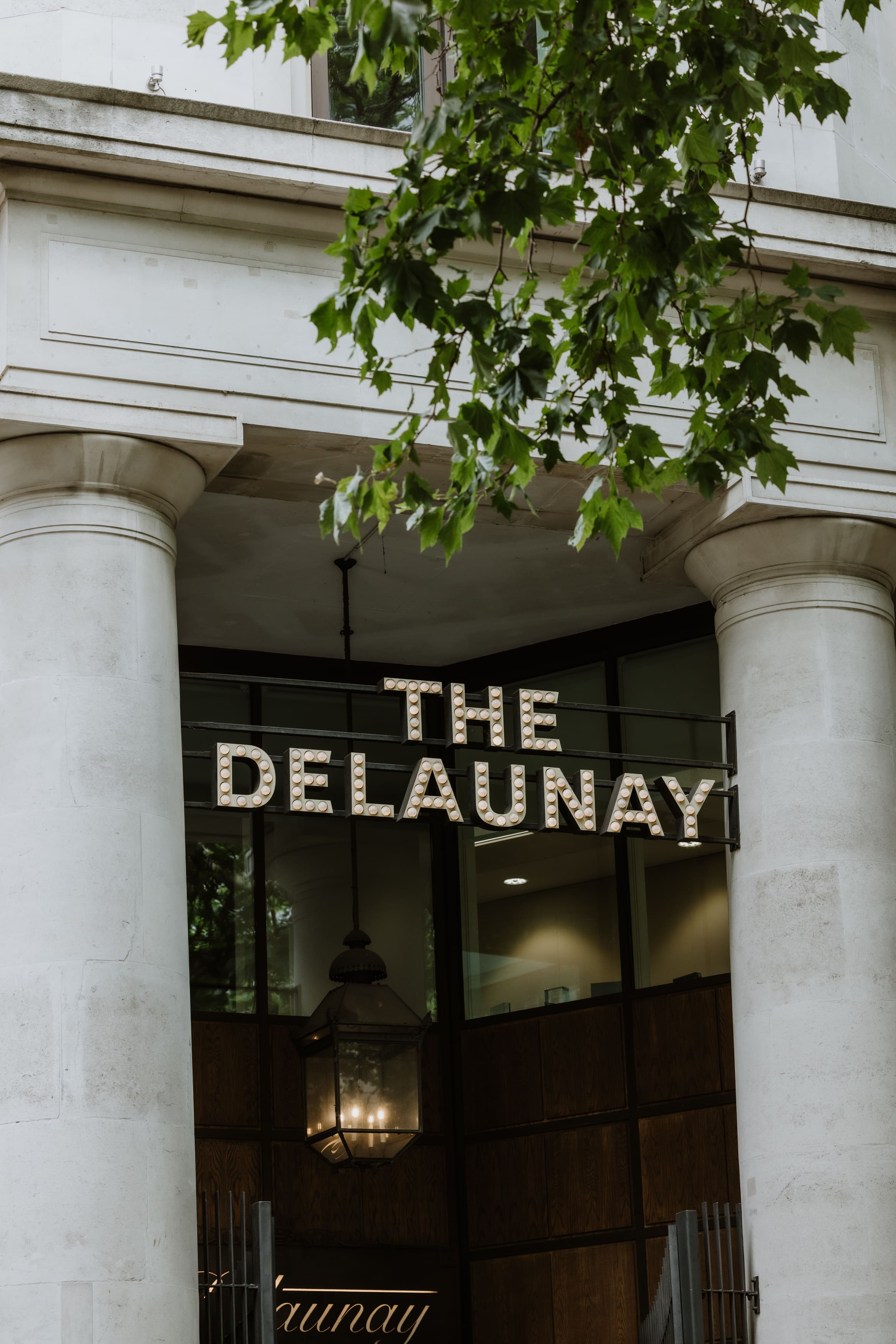 The Delaunay